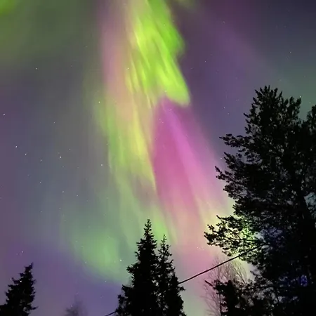Augusta * Rovaniemi